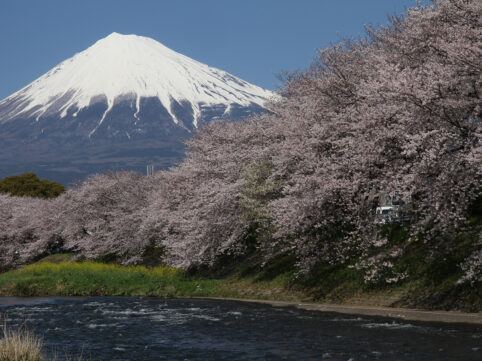 登山ガイド