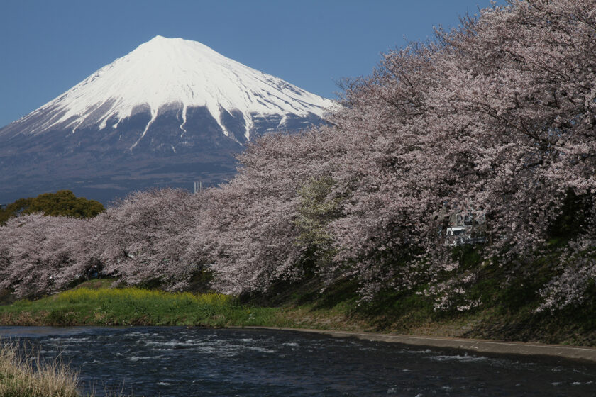 登山ガイド